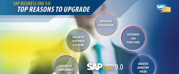 SAP Business One 9.0
